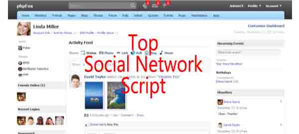 top social network script